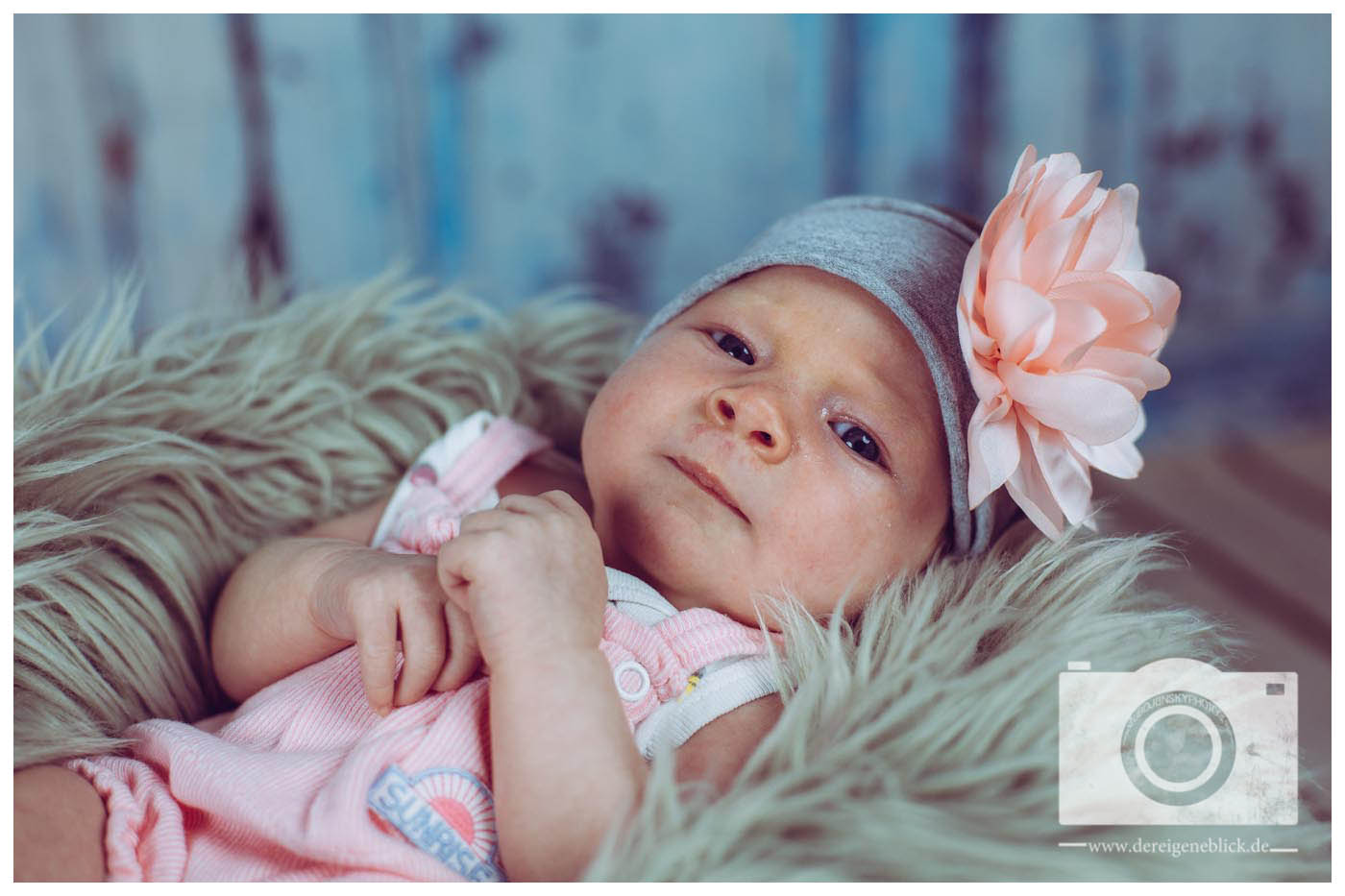 Logo 2018_07_15 Elara cinnamongirl SO6A2791